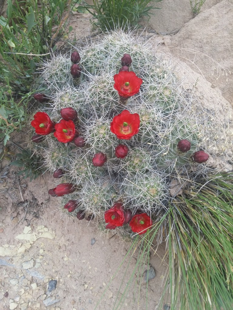 20160416_083631