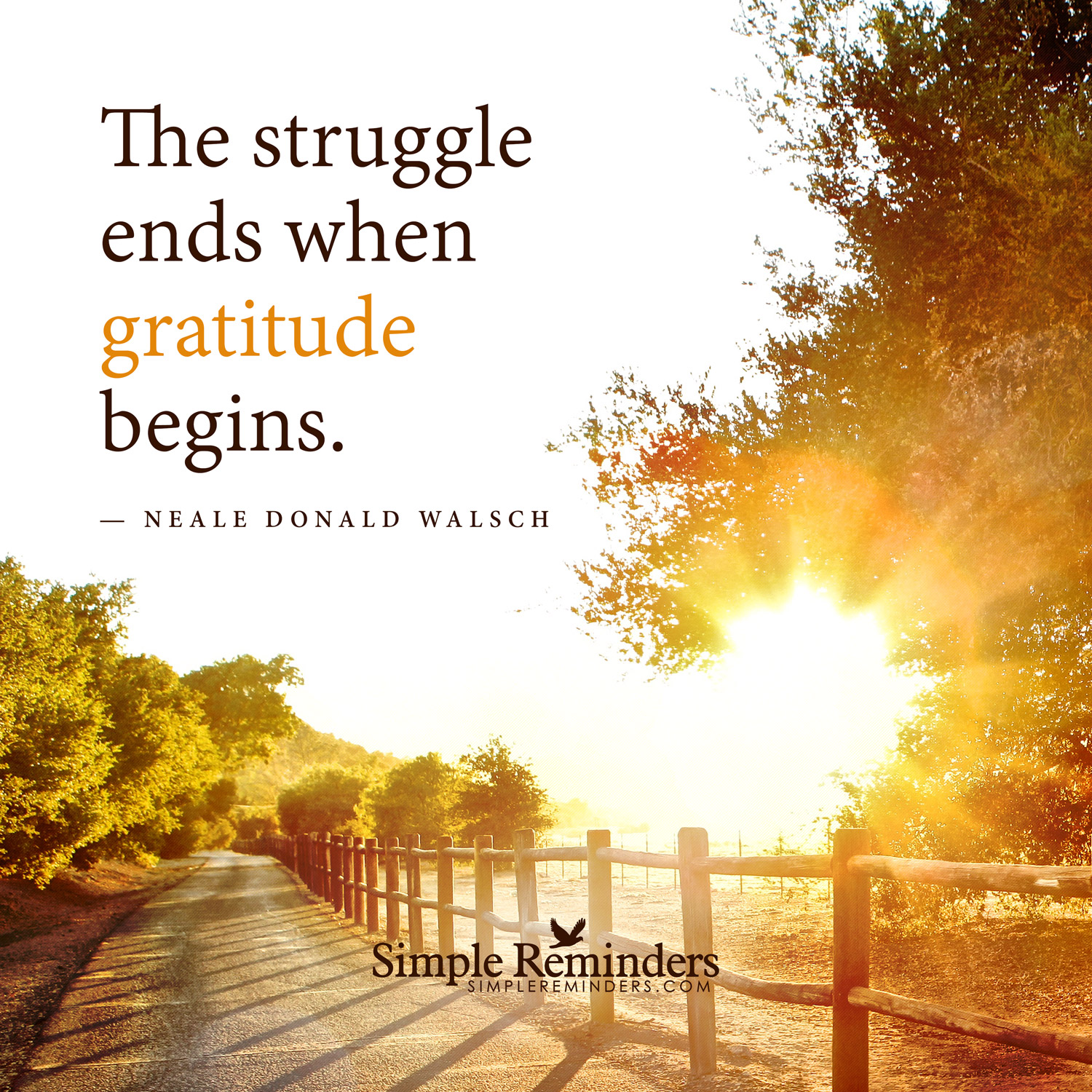 Gratitude is the Key